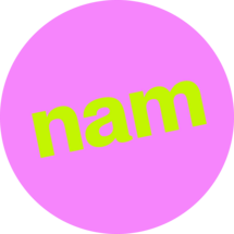 NAM studio